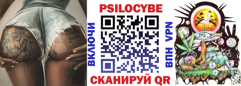 блэк спрут зеркало  Беломорск  Псилоцибиновые грибы мицелий 